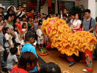 Lion dance to welcome the year of Ox